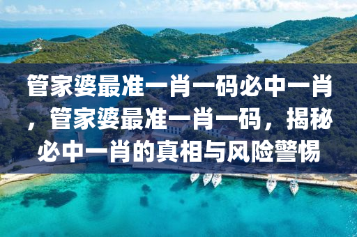 管家婆最准一肖一码必中一肖，管家婆最准一肖一码，揭秘必中一肖的真相与风险警惕