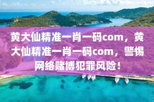 黄大仙精准一肖一码com，黄大仙精准一肖一码com，警惕网络赌博犯罪风险！