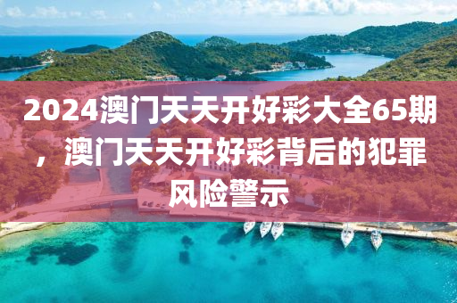 2024澳门天天开好彩大全65期，澳门天天开好彩背后的犯罪风险警示