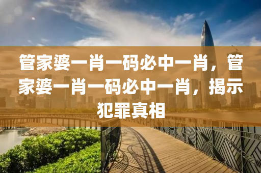 管家婆一肖一码必中一肖，管家婆一肖一码必中一肖，揭示犯罪真相