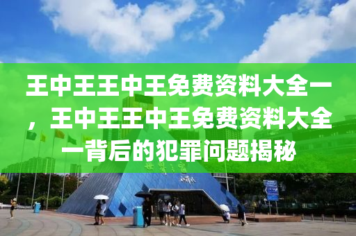 王中王王中王免费资料大全一，王中王王中王免费资料大全一背后的犯罪问题揭秘