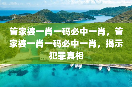 管家婆一肖一码必中一肖，管家婆一肖一码必中一肖，揭示犯罪真相