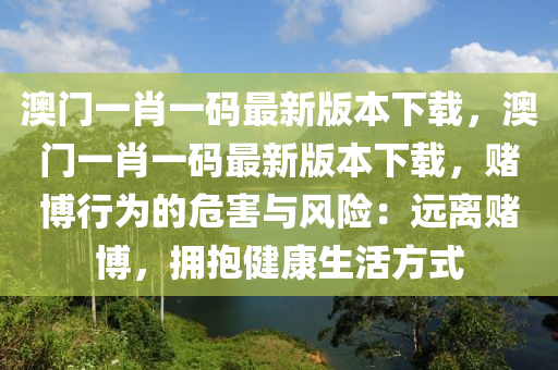 2024年12月23日 第41页