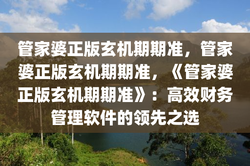 管家婆正版玄机期期准，管家婆正版玄机期期准，《管家婆正版玄机期期准》：高效财务管理软件的领先之选