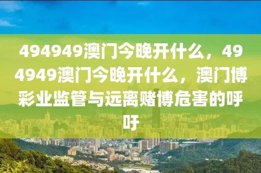 2024年12月23日 第19页