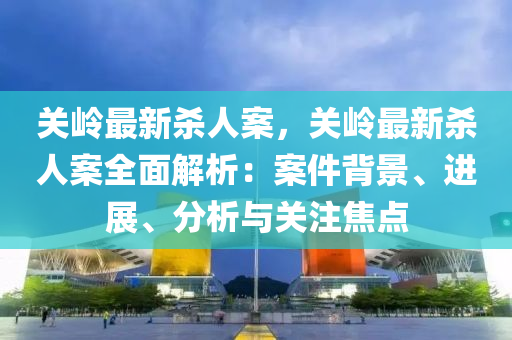 关岭最新杀人案，关岭最新杀人案全面解析：案件背景、进展、分析与关注焦点