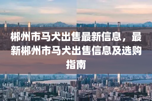 郴州市马犬出售最新信息，最新郴州市马犬出售信息及选购指南