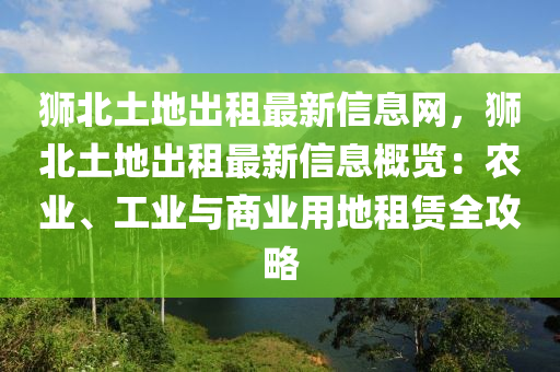 狮北土地出租最新信息网，狮北土地出租最新信息概览：农业、工业与商业用地租赁全攻略
