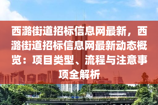 西潞街道招标信息网最新，西潞街道招标信息网最新动态概览：项目类型、流程与注意事项全解析