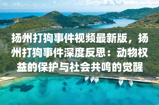 扬州打狗事件视频最新版，扬州打狗事件深度反思：动物权益的保护与社会共鸣的觉醒