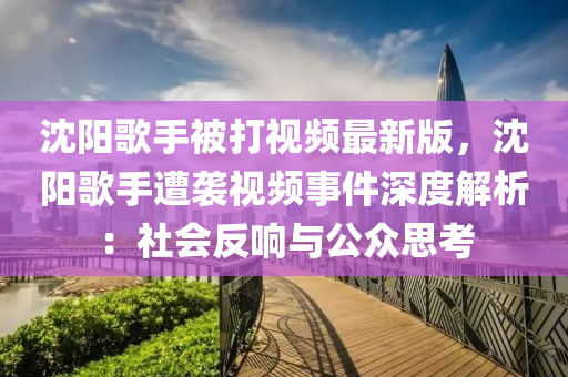 沈阳歌手被打视频最新版，沈阳歌手遭袭视频事件深度解析：社会反响与公众思考