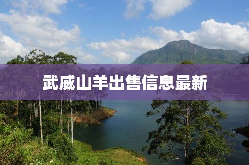 武威山羊出售信息最新