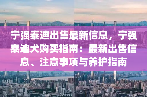 宁强泰迪出售最新信息，宁强泰迪犬购买指南：最新出售信息、注意事项与养护指南