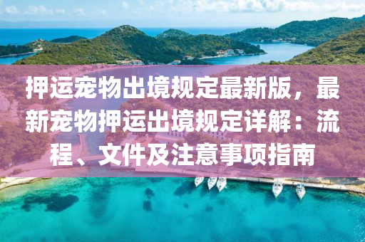 押运宠物出境规定最新版，最新宠物押运出境规定详解：流程、文件及注意事项指南