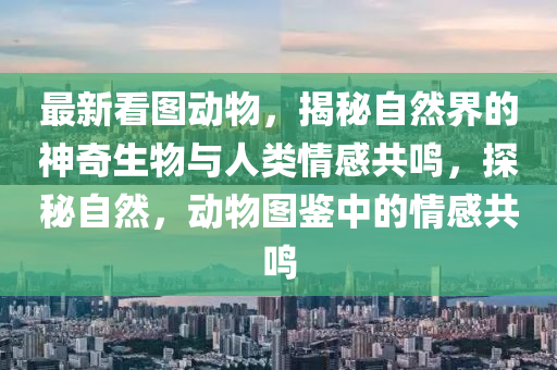 最新看图动物，揭秘自然界的神奇生物与人类情感共鸣，探秘自然，动物图鉴中的情感共鸣