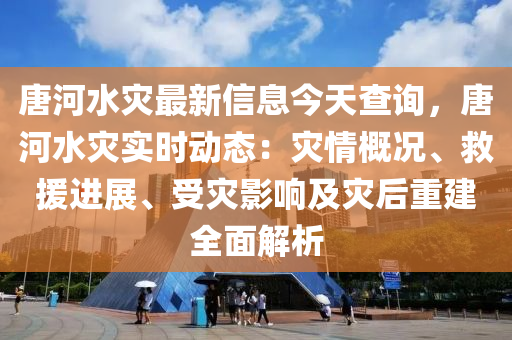 唐河水灾最新信息今天查询，唐河水灾实时动态：灾情概况、救援进展、受灾影响及灾后重建全面解析