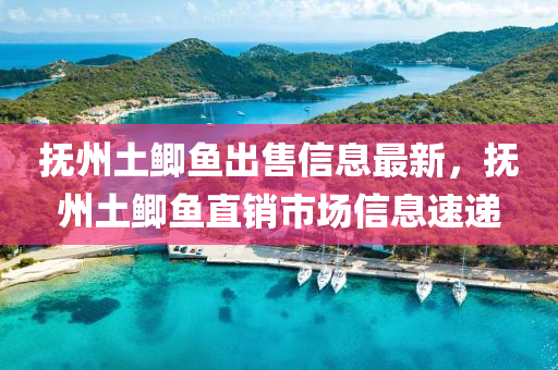 抚州土鲫鱼出售信息最新，抚州土鲫鱼直销市场信息速递