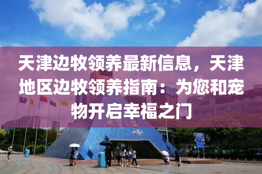 天津边牧领养最新信息，天津地区边牧领养指南：为您和宠物开启幸福之门