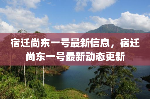 宿迁尚东一号最新信息，宿迁尚东一号最新动态更新