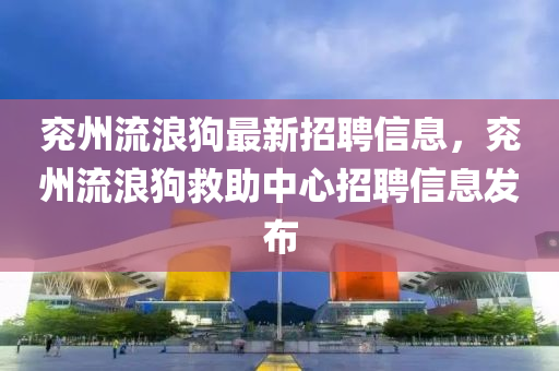 兖州流浪狗最新招聘信息，兖州流浪狗救助中心招聘信息发布
