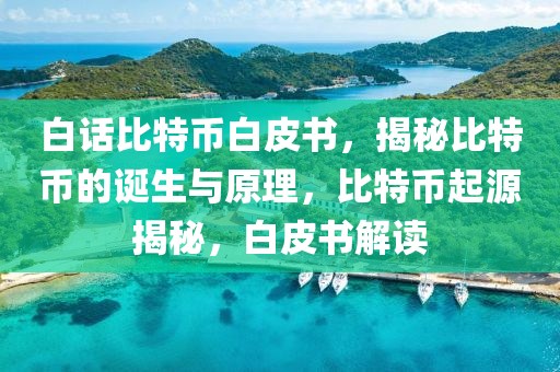 白话比特币白皮书，揭秘比特币的诞生与原理，比特币起源揭秘，白皮书解读