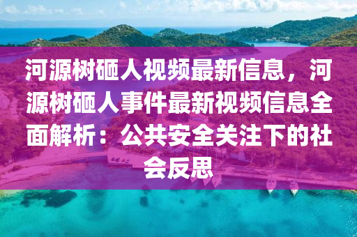 河源树砸人视频最新信息，河源树砸人事件最新视频信息全面解析：公共安全关注下的社会反思
