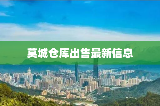 莫城仓库出售最新信息