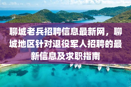 聊城老兵招聘信息最新网，聊城地区针对退役军人招聘的最新信息及求职指南