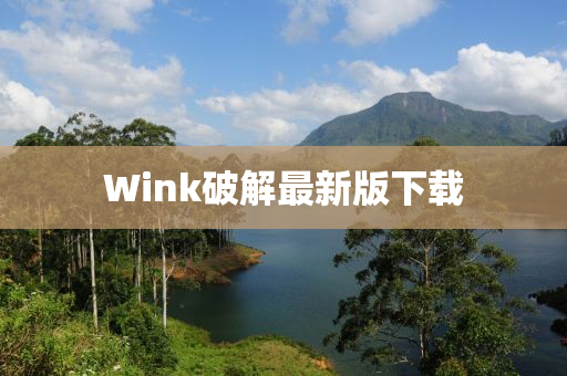 Wink破解最新版下载