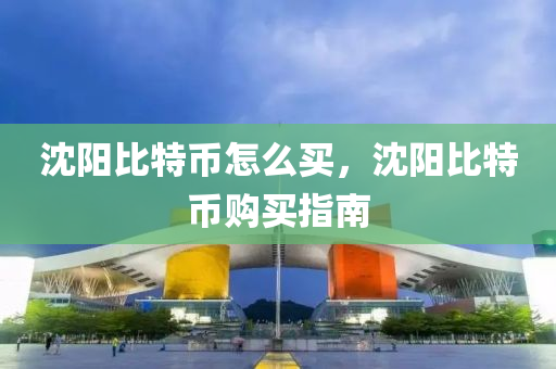 沈阳比特币怎么买，沈阳比特币购买指南
