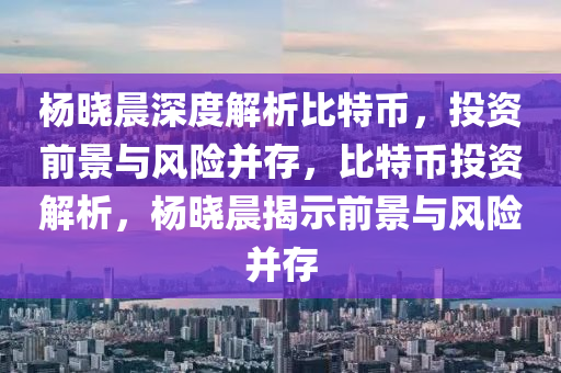 杨晓晨深度解析比特币，投资前景与风险并存，比特币投资解析，杨晓晨揭示前景与风险并存