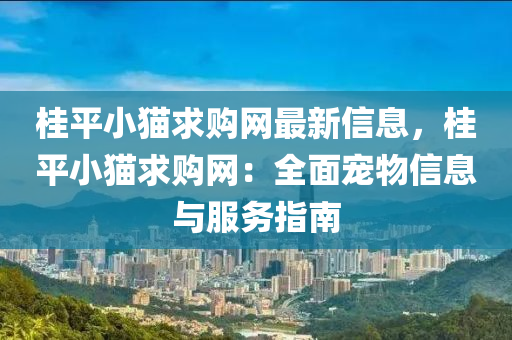 桂平小猫求购网最新信息，桂平小猫求购网：全面宠物信息与服务指南