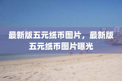 最新版五元纸币图片，最新版五元纸币图片曝光