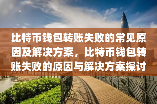 比特币钱包转账失败的常见原因及解决方案，比特币钱包转账失败的原因与解决方案探讨