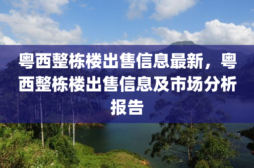 粤西整栋楼出售信息最新，粤西整栋楼出售信息及市场分析报告