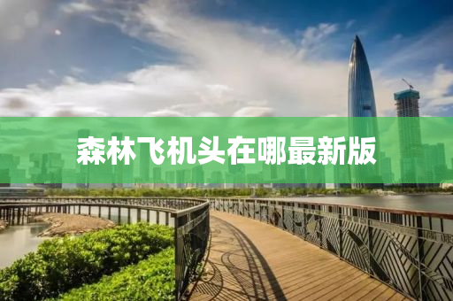 森林飞机头在哪最新版