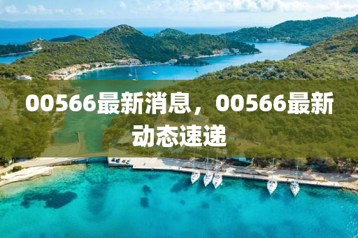 00566最新消息，00566最新动态速递