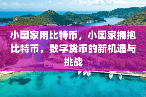 小国家用比特币，小国家拥抱比特币，数字货币的新机遇与挑战