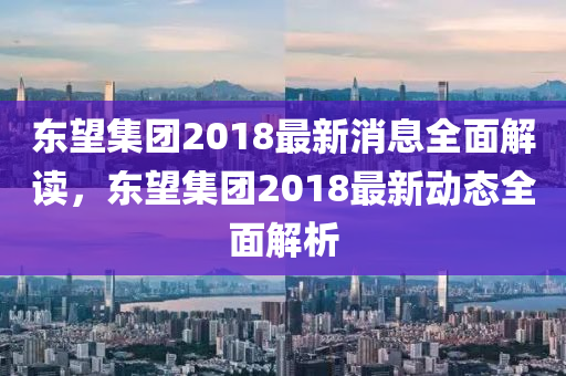东望集团2018最新消息全面解读，东望集团2018最新动态全面解析