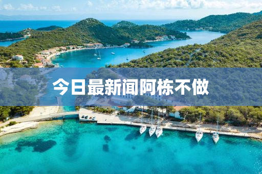 今日最新闻阿栋不做