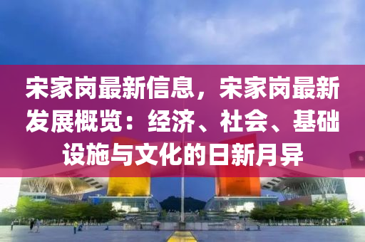 宋家岗最新信息，宋家岗最新发展概览：经济、社会、基础设施与文化的日新月异