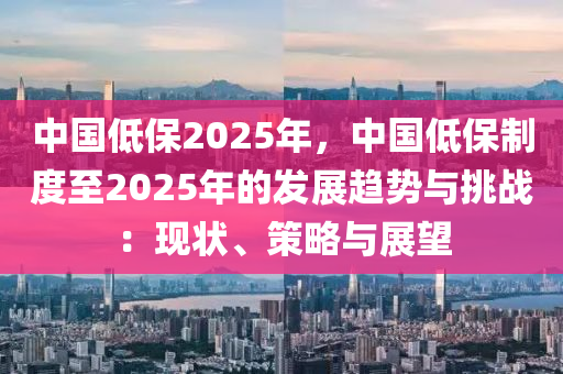 中国低保2025年，中国低保制度至2025年的发展趋势与挑战：现状、策略与展望