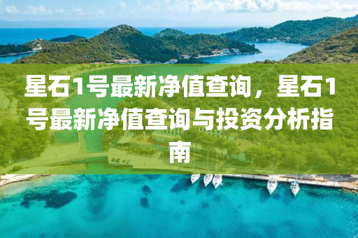 星石1号最新净值查询，星石1号最新净值查询与投资分析指南