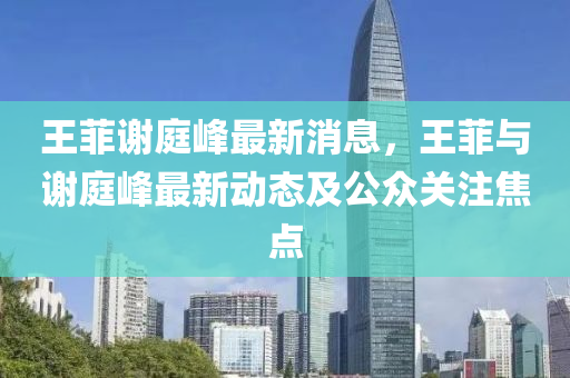 王菲谢庭峰最新消息，王菲与谢庭峰最新动态及公众关注焦点