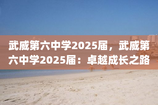 武威第六中学2025届，武威第六中学2025届：卓越成长之路