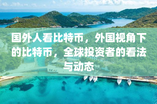 国外人看比特币，外国视角下的比特币，全球投资者的看法与动态