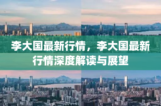 李大国最新行情，李大国最新行情深度解读与展望