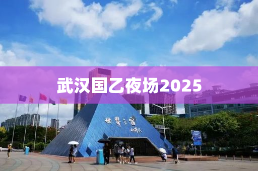 武汉国乙夜场2025