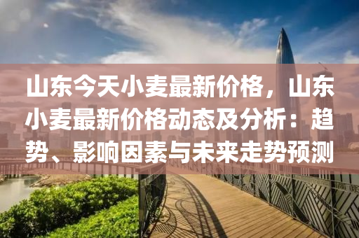 山东今天小麦最新价格，山东小麦最新价格动态及分析：趋势、影响因素与未来走势预测