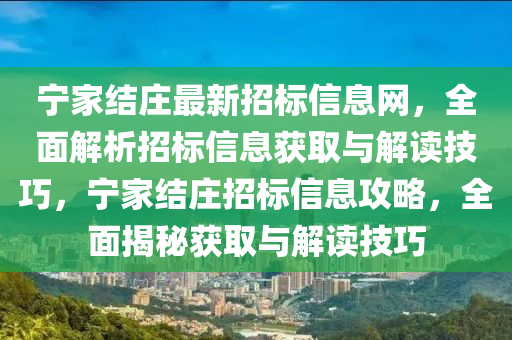 宁家结庄最新招标信息网，全面解析招标信息获取与解读技巧，宁家结庄招标信息攻略，全面揭秘获取与解读技巧